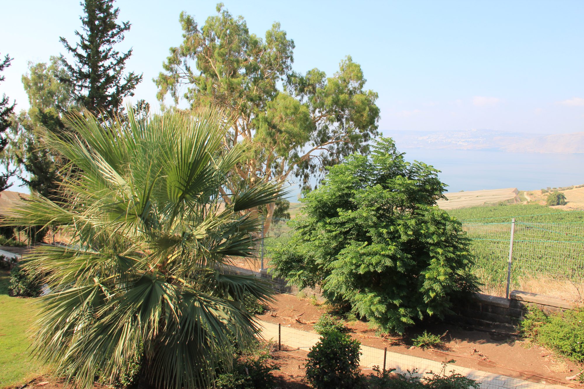 Mount of Beatitudes 29